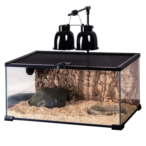 Repti-Zoo Simple Habitat - terrarium 31x31x20
