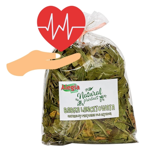 Alegia - Babka Lancetowata 100g