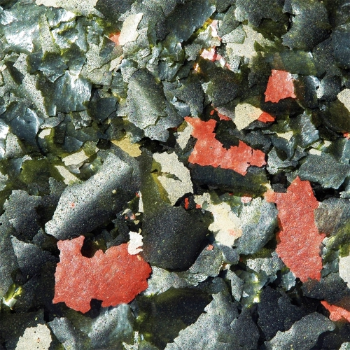 JBL NovoMalawi 250ml - pokarm w płatkach