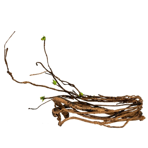 Repti-Zoo Jungle Tree - liana / drzewko gięte