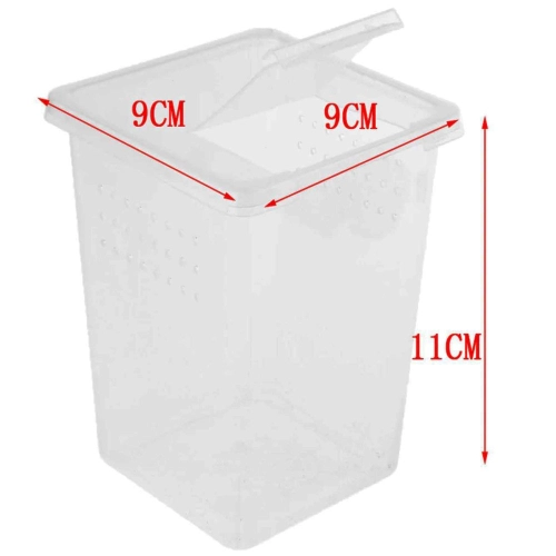 Terrario Insect Box High - plastikowe terrarium 9x9x11cm