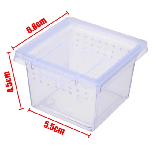 Terrario Insect Box Mini - plastikowe terrarium 6,5x6,5x4,5cm
