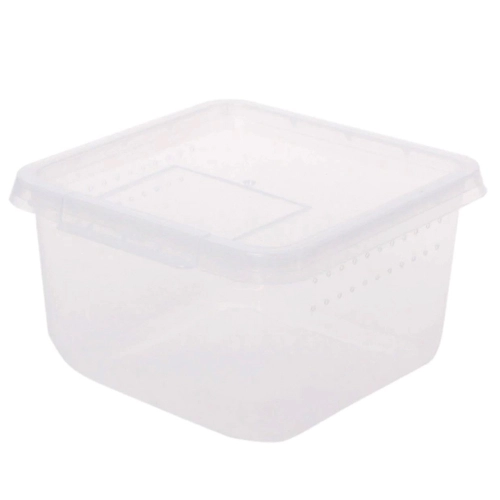 Terrario Insect Box Compact - plastikowe terrarium 12x12x7cm