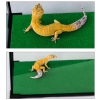 Repti-Zoo Carpet Mat - podłoże do terrarium 30x30cm