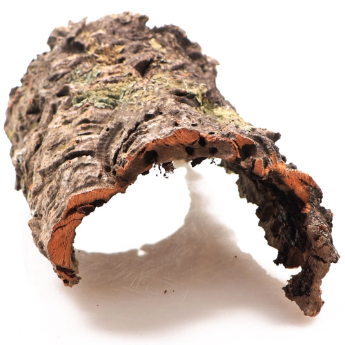 Kora z Dębu Korkowego - na wagę