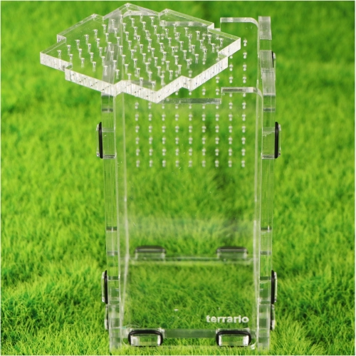 Terrario Mantis Area S - terrarium akrylowe dla modliszek i owadów