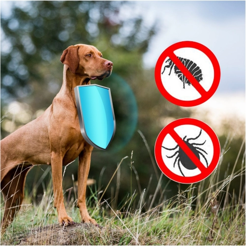 Sabunol Plus Protect Collar 75cm - obroża przeciw pchłom i kleszczom