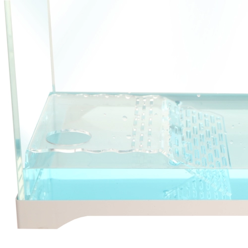 Terrario Zakynthos M - wyspa dla żółwi z miską