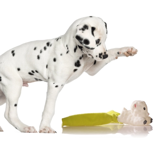 Lupipets Dog Toy Super Sheep - zabawka piszcząca 8cm