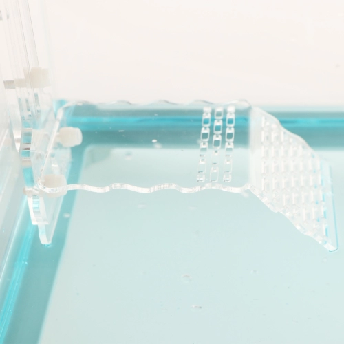 Schone Korallen Hanging Kit - wieszak regulowany