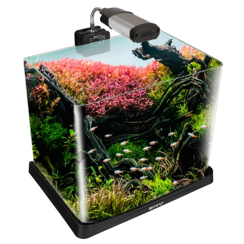 BOYU Plantset Aqua 300 - zestaw akwarium 16l