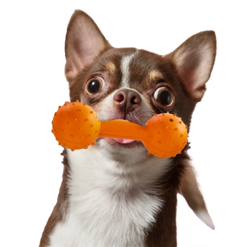 HappyPet Rubber Multi Pack - zestaw gryzaków dla psa