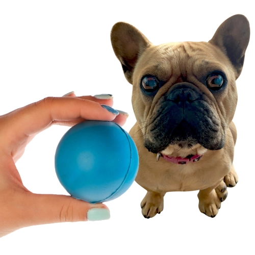 HappyPet Rubber Multi Pack - zestaw gryzaków dla psa