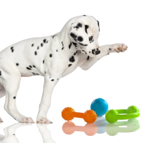 HappyPet Rubber Multi Pack - zestaw gryzaków dla psa