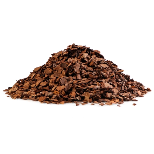 Terrario Tha Pom Khlong S - kora antybakteryjna i grzybobójcza 5l