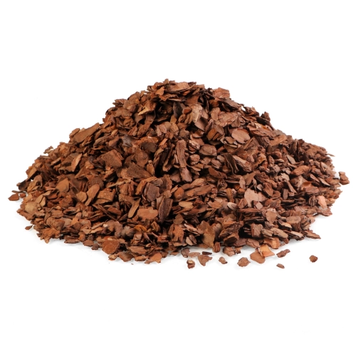 Terrario Tha Pom Khlong S - kora antybakteryjna i grzybobójcza 5l