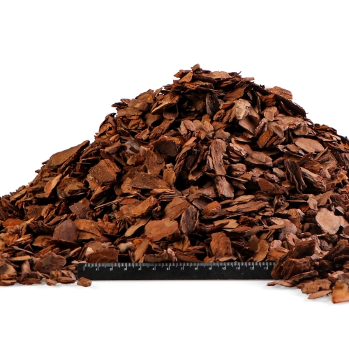 Terrario Tha Pom Khlong S - kora antybakteryjna i grzybobójcza 5l