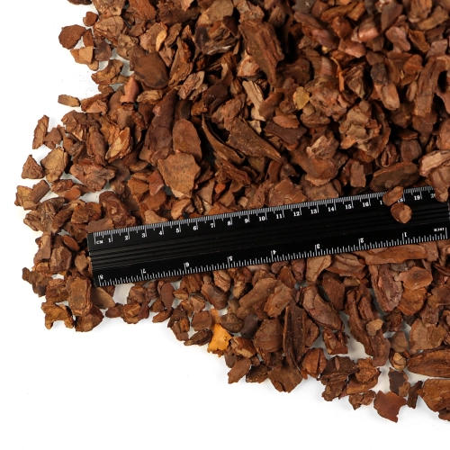 Terrario Tha Pom Khlong S - kora antybakteryjna i grzybobójcza 5l