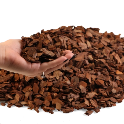 Terrario Tha Pom Khlong S - kora antybakteryjna i grzybobójcza 5l