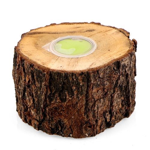 Terrario Jelly Holder Oak - podstawka na pokarm Jelly Pot