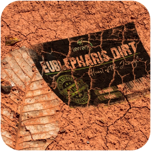 Terrario Eublepharis Dirt 1kg - podłoże dla gekona lamparciego