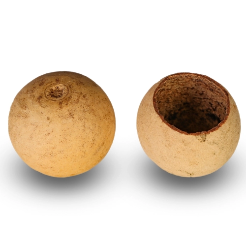 Terrario Natural Fruit S - jaskinia miska z łuski owocowej