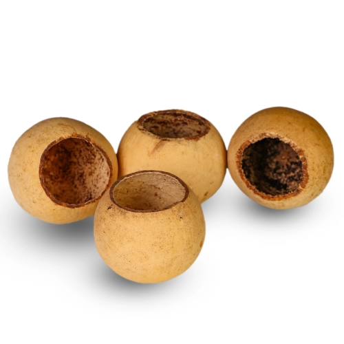 Terrario Natural Fruit S - jaskinia miska z łuski owocowej