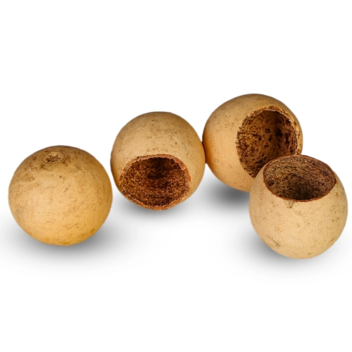 Terrario Natural Fruit S - jaskinia miska z łuski owocowej