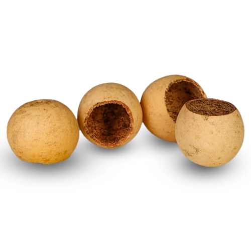 Terrario Natural Fruit S - jaskinia miska z łuski owocowej