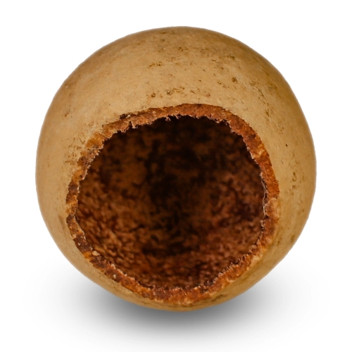 Terrario Natural Fruit S - jaskinia miska z łuski owocowej