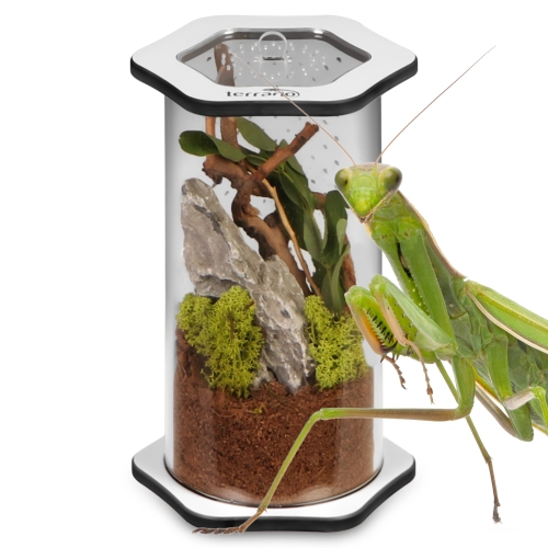 Terrario Spiders Tube Med200 - terrarium akrylowe