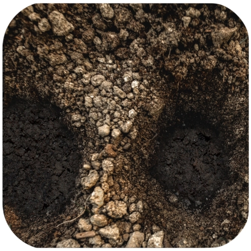 Terrario Dwarf Digger 5l - podłoże dla zwierząt kopiących