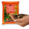 Eco Plant Tropical River 1kg - żwirek rzeczny ciemny 2-8mm
