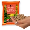 Eco Plant Natural River 1kg - żwir rzeczny 1-3mm