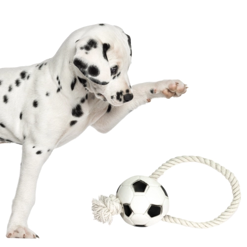 Pet Nova zabawka gumowa - piłka futbolowa na sznurku 26cm