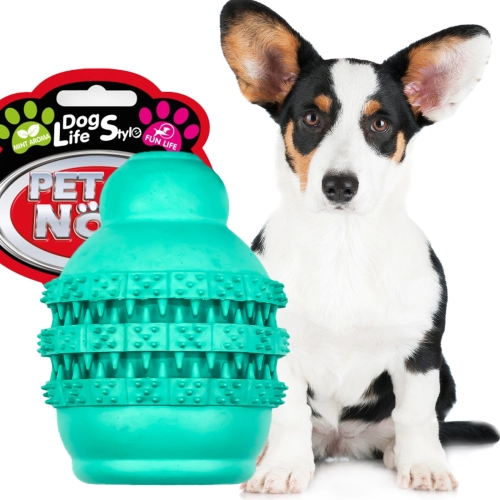 Pet Nova zabawka - piłka jumper dental miętowa 5cm