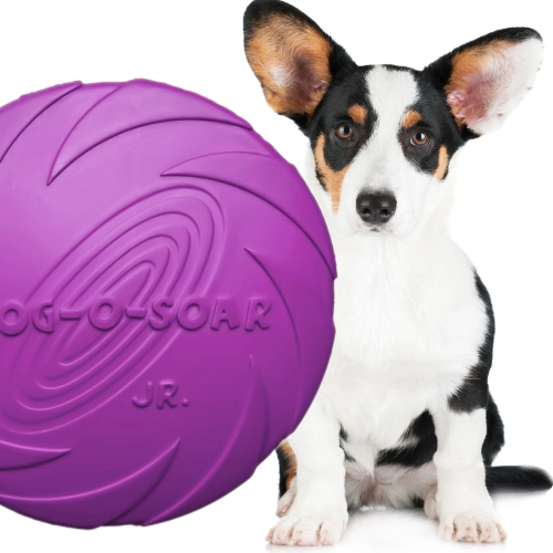 Pet Nova zabawka - dysk gumowy frisbee fioletowy 22cm