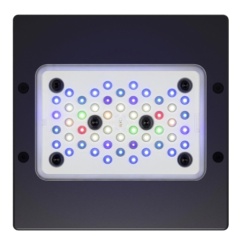 Ecotech Radion XR15 G6 Pro Led Light - oświetlenie LED do akwarium morskiego