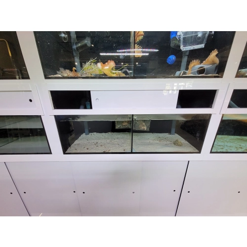 Zestaw białych regałów sprzedażowych