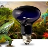 Super Reptile Black Moonlight 75W - żarówka grzewcza