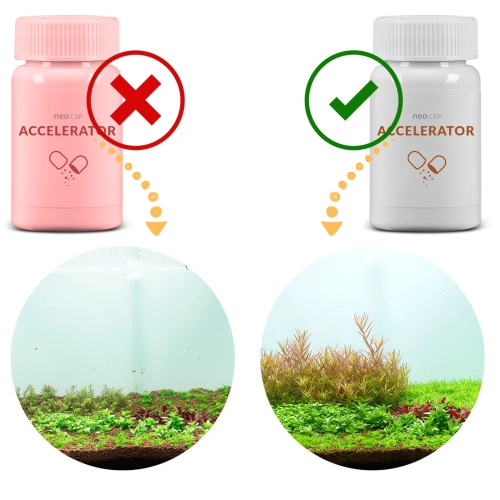 Neo Cap Accelerator - 20 kapsułek na tarło, apetyt ryb i wzrost roślin