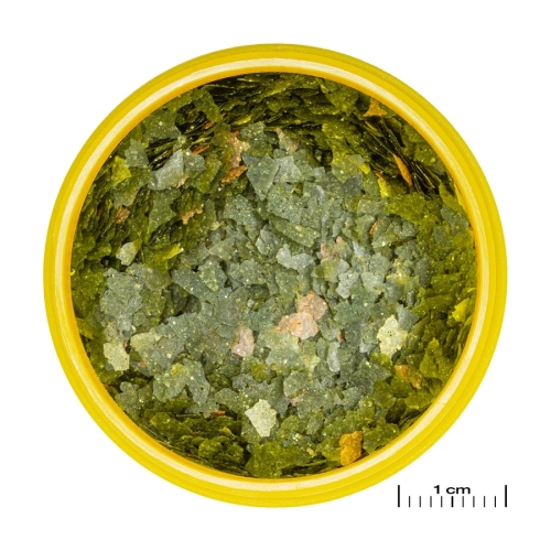 JBL Pronovo Grupy 100ml - pokarm dla gupików i ryb żyworodnych