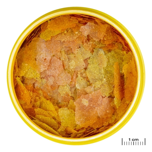 JBL Pronovo Color Flakes M 100ml - pokarm wzmacniający kolory ryb