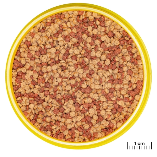 JBL Pronovo Color Grano M 250ml - pokarm w granulacie wzmacniający kolory ryb