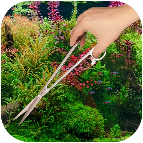 Kruger Meier Pflanzenschere Einfache - nożyce proste 25cm