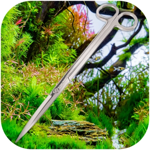 Kruger Meier Pflanzenschere Einfache - nożyce proste 25cm