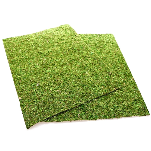 Repti-Zoo Natural Moss Back&Bottom - tło i podłoże z mchu 50x25cm