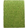 Repti-Zoo Natural Moss Back&Bottom - tło i podłoże z mchu 50x25cm