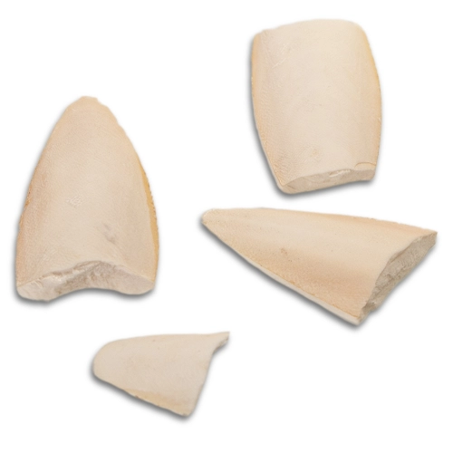 MediSepia Cuttlebone Cracks - sepia w kawałkach