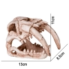 Terrario Sabertooth Skull - czaszka tygrysa do terrarium 13x8,5x11 cm